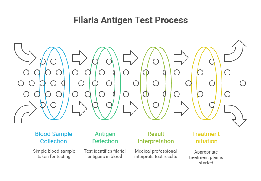 Filaria Antigen Test Process