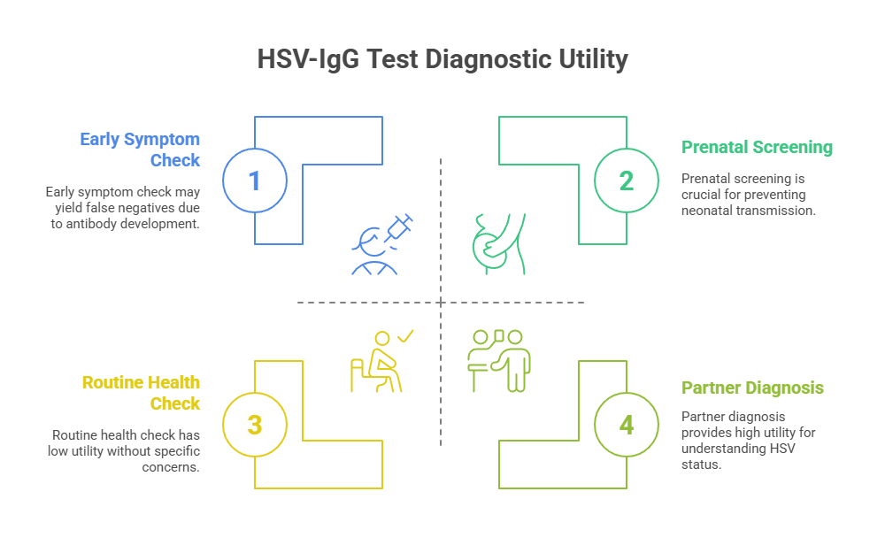 HSV-IgG Test Diagnostic Utility