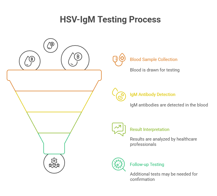 HSV-IgM Testing Process