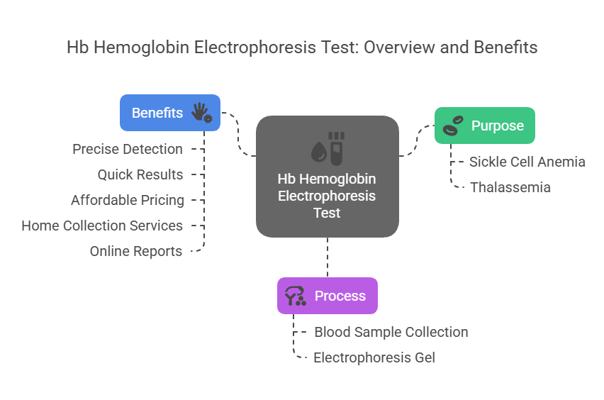 Hb Hemoglobin Electrophoresis Test - Overview and Benefits