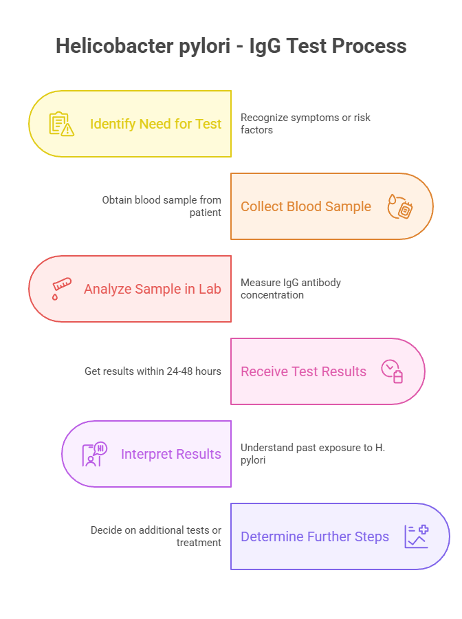 Helicobacter pylori - IgG Test Process
