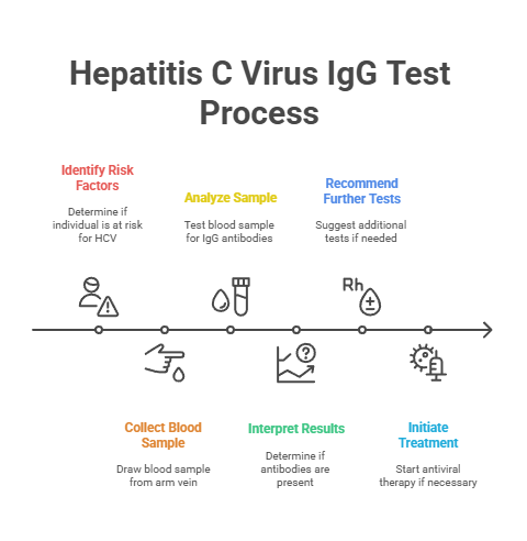 Hepatitis C Virus IgG Test Process