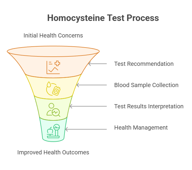 Homocysteine Test Process
