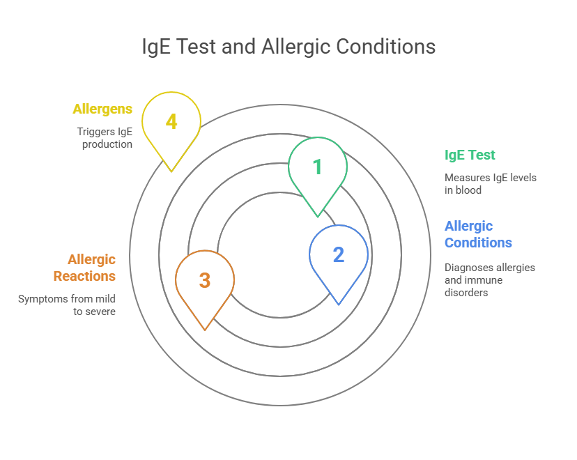IgE Test and Allergic Conditions