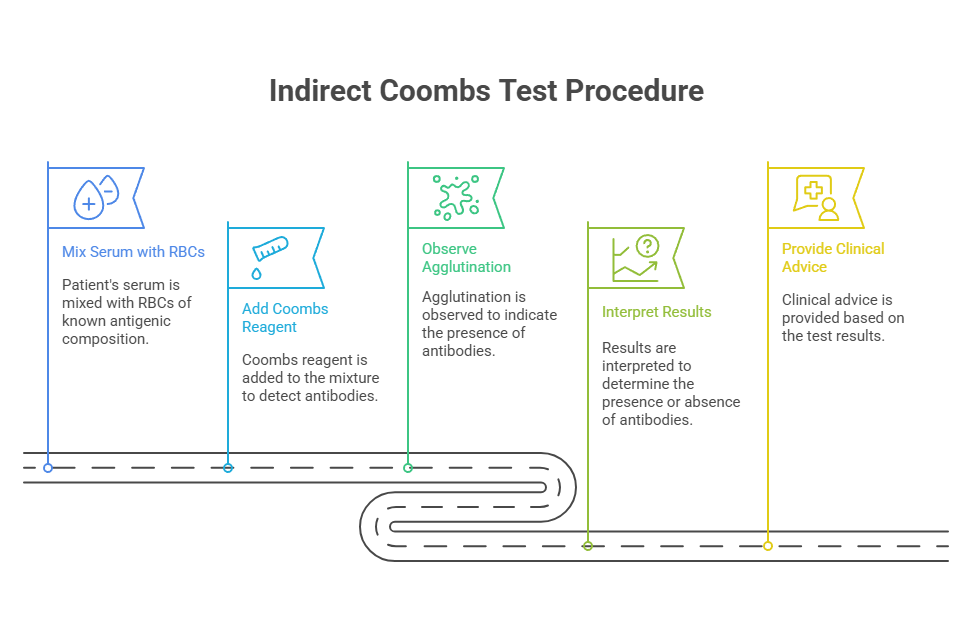 Indirect Coombs Test Procedure