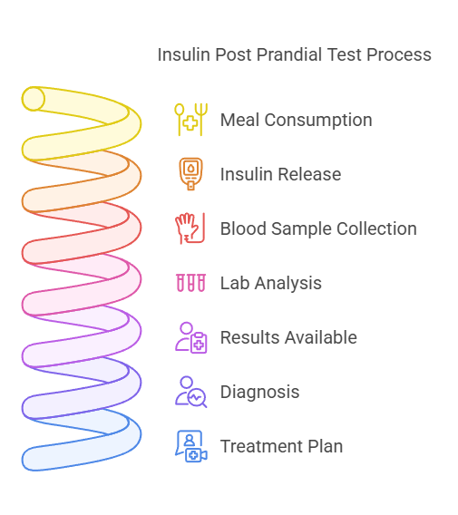 Insulin Post Prandial Test Process