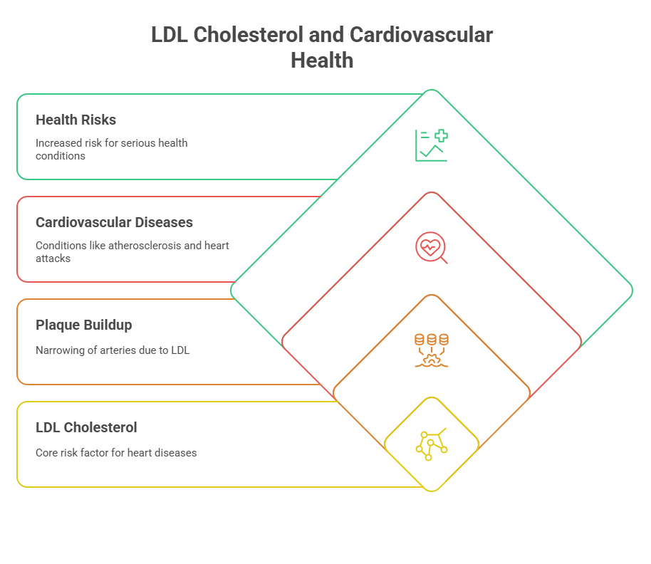 LDL Cholesterol and Cardiovascular Health