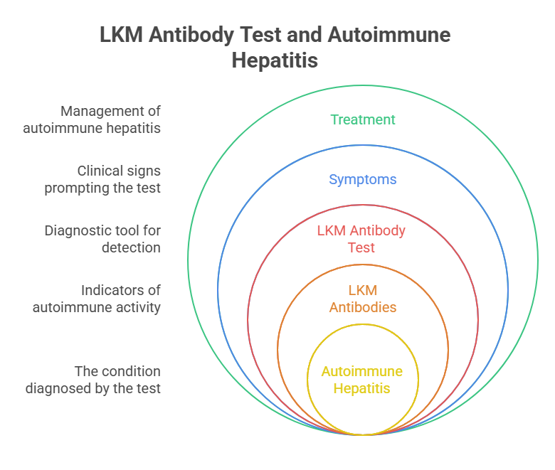 LKM Antibody Test and Autoimmune Hepatitis