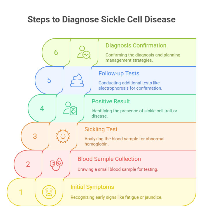 Steps to Diagnose Sickle Cell Disease