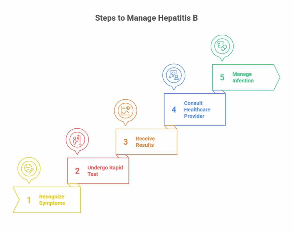 Steps to Manage Hepatitis B