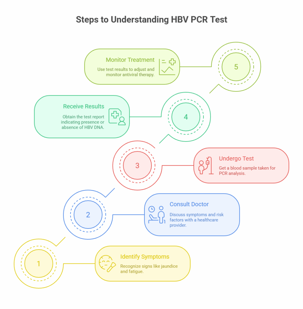 Steps to Understanding HBV PCR Test