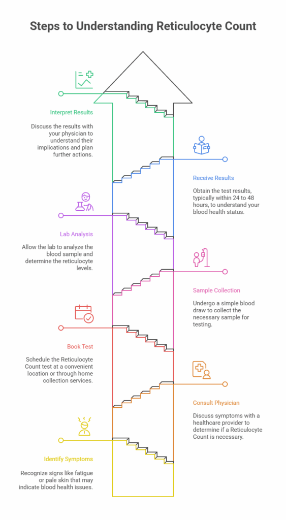 Steps to Understanding Reticulocyte Count