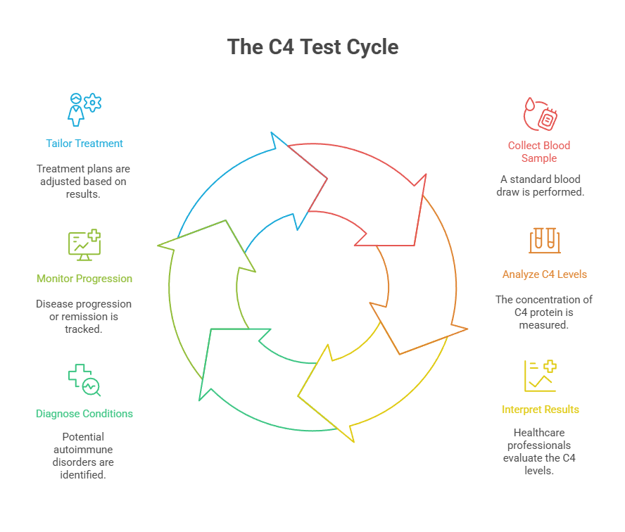 The C4 Test Cycle