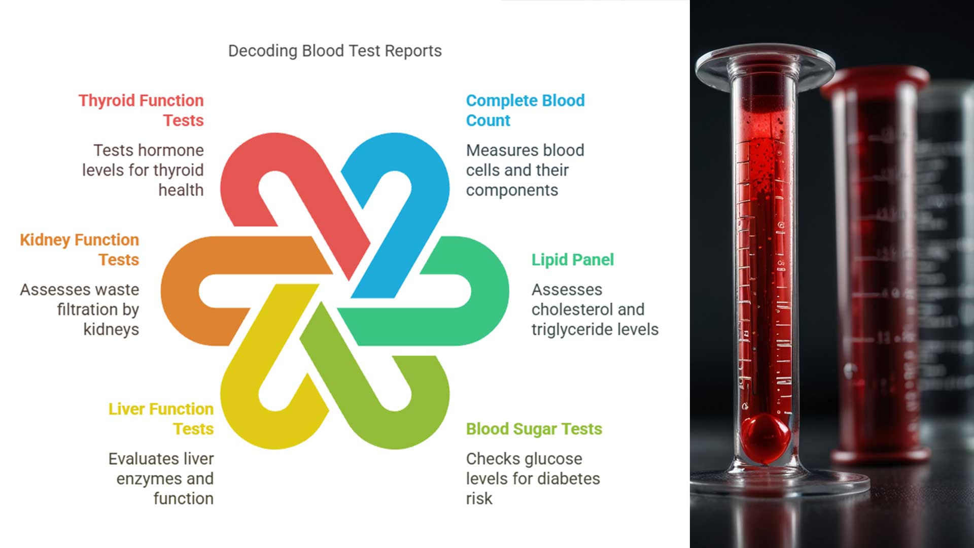 The Complete List Of Blood Tests In A Routine Physical Exam 