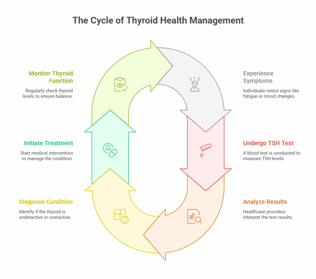 The Cycle of Thyroid Health Management