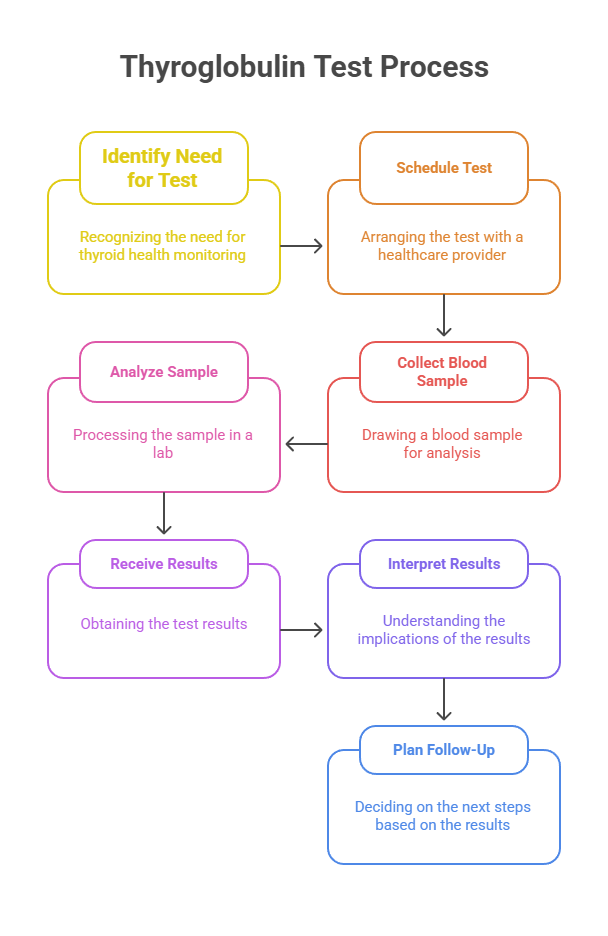 Thyroglobulin Test Process