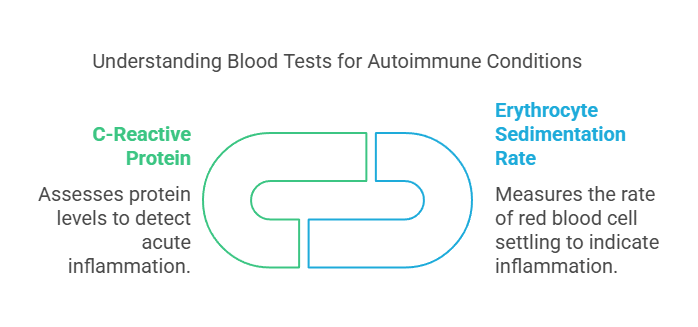 Understanding Blood Tests for Autoimmune Conditions