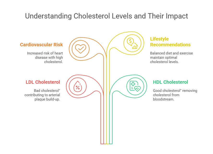Understanding Cholesterol Levels and Their Impact