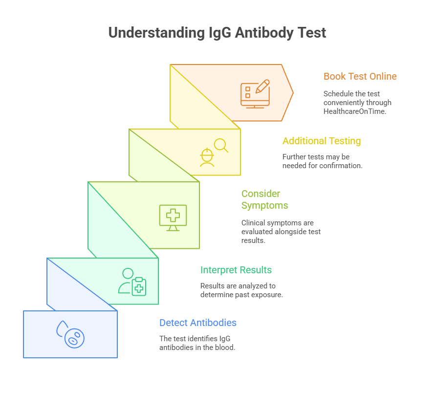 Understanding IgG Antibody Test