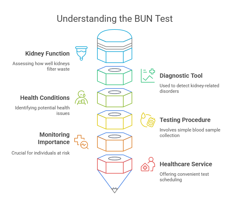 Understanding the BUN Test