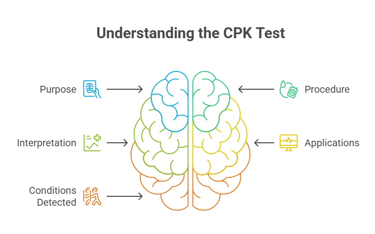 Understanding the CPK Test