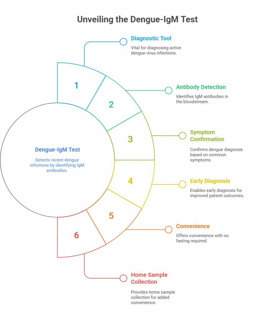 Unveiling the Dengue-IgM Test