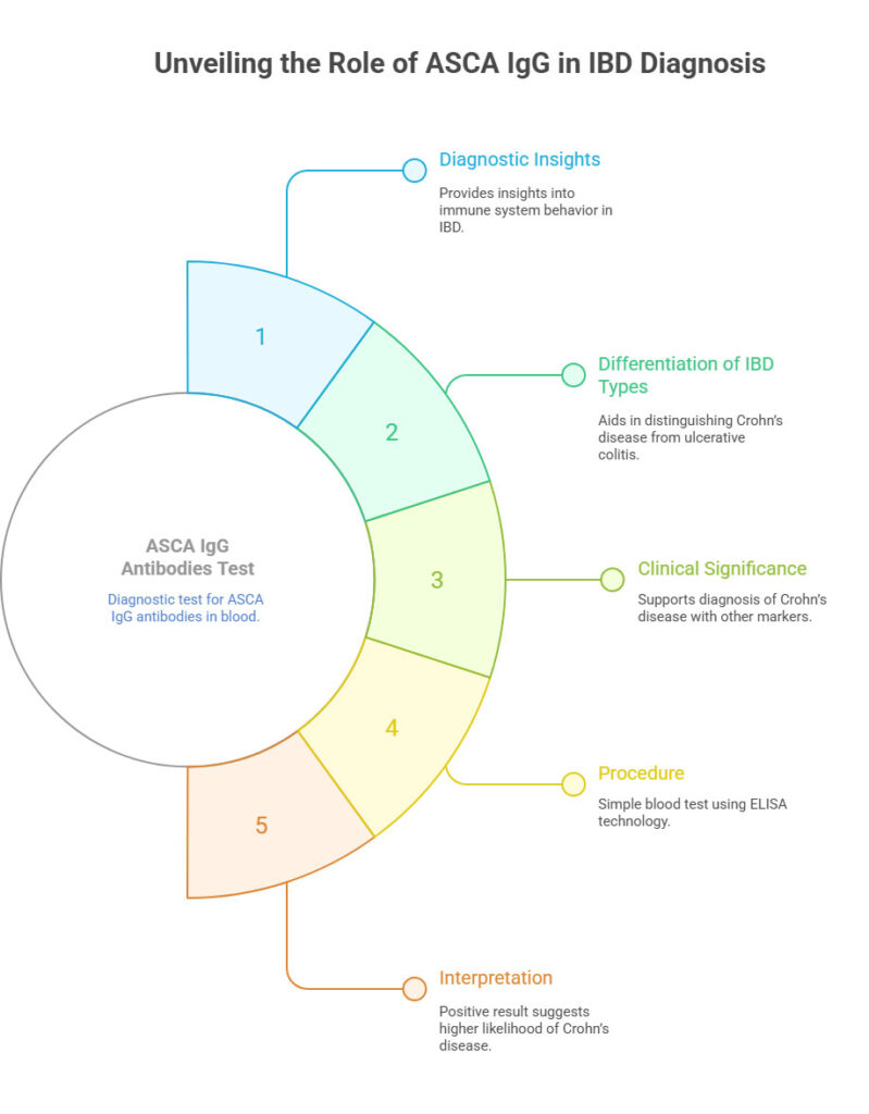 Unveiling the Role of ASCA IgG in IBD Diagnosis