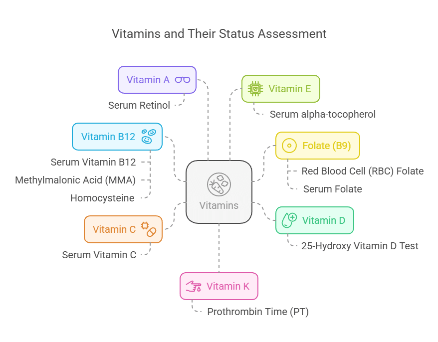 Vitamins and Their Status Assessment