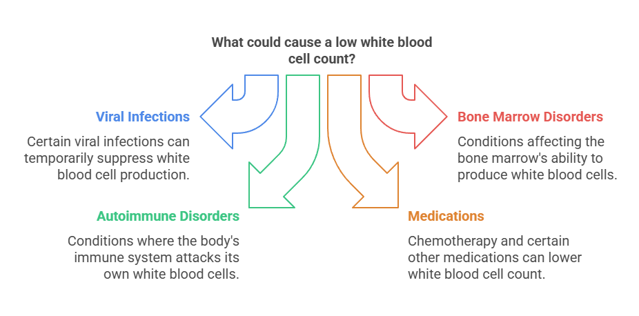 What could cause a low white blood cell count
