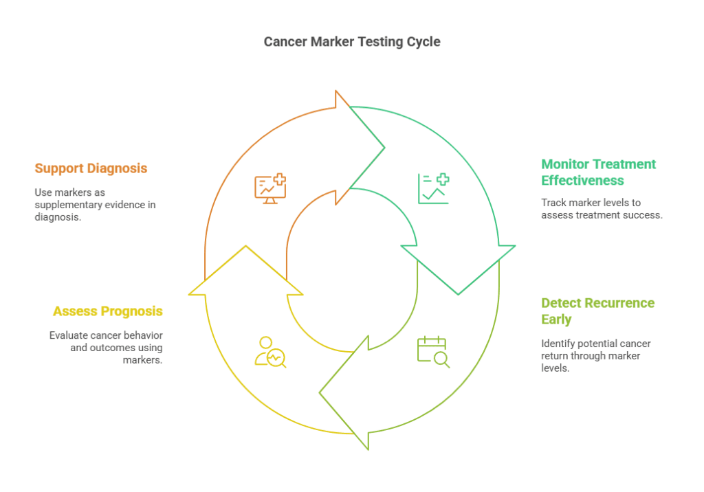Cancer Marker Testing Cycle