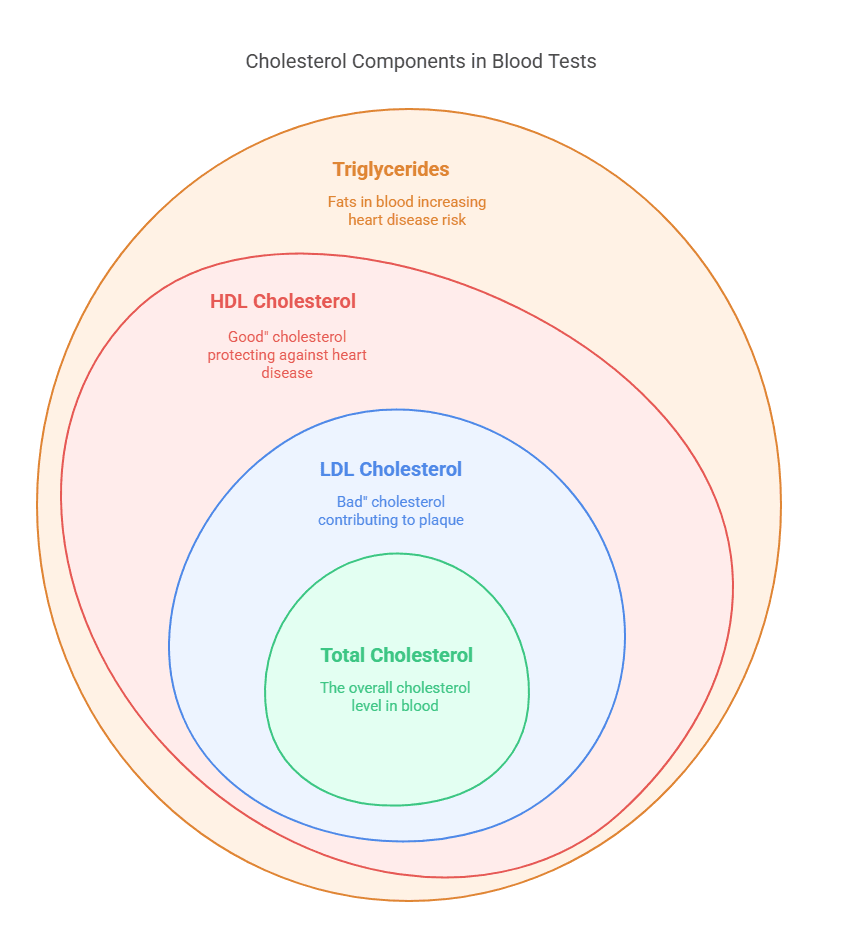 Cholesterol Components in Blood Tests