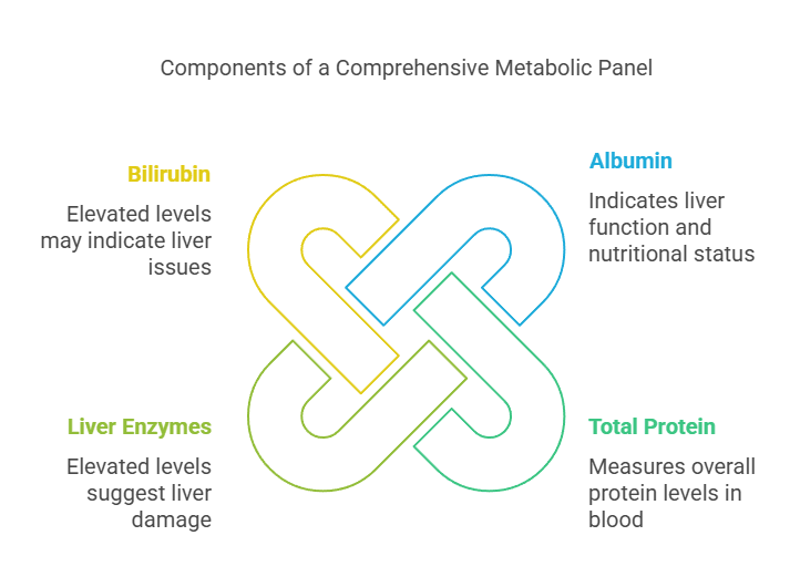 Components of a Comprehensive Metabolic Panel