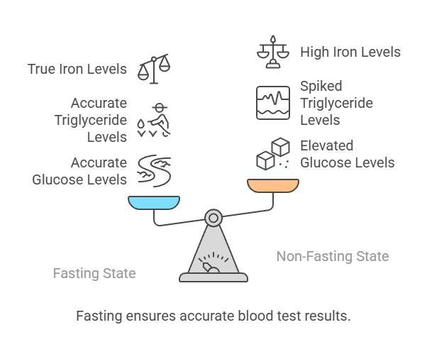 Fasting ensures accurate blood test results.