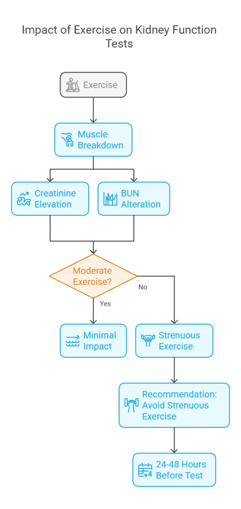 Impact of Exercise on Kidney Function Tests