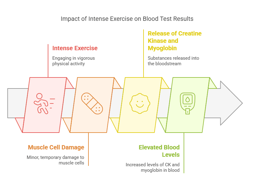 Impact of Intense Exercise on Blood Test Results