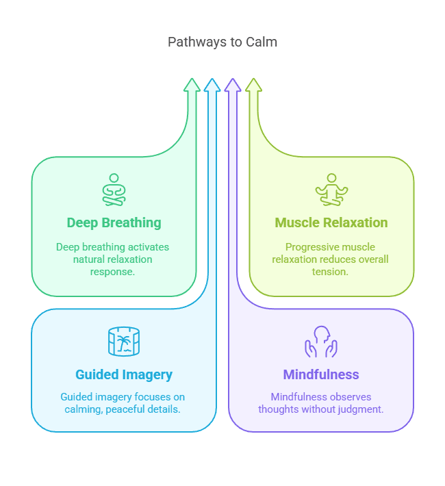 Pathways to Calm