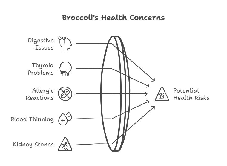 Potential Side Effects