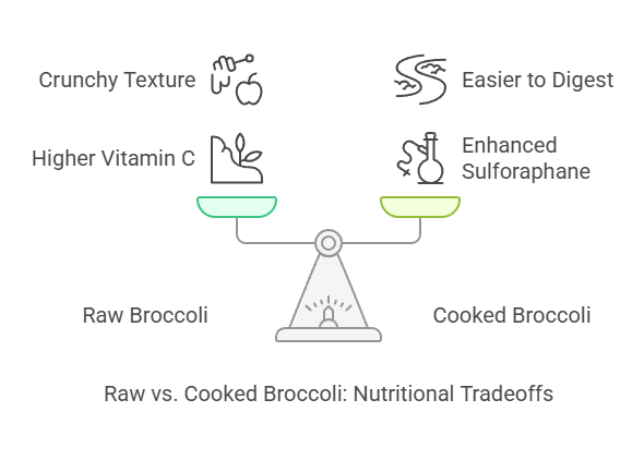 Raw vs. Cooked Broccoli