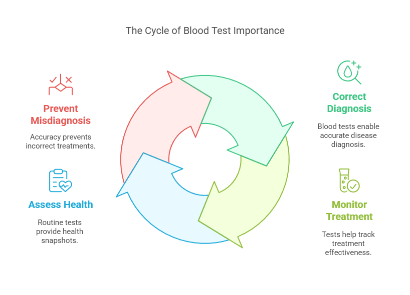 The Cycle of Blood Test Importance