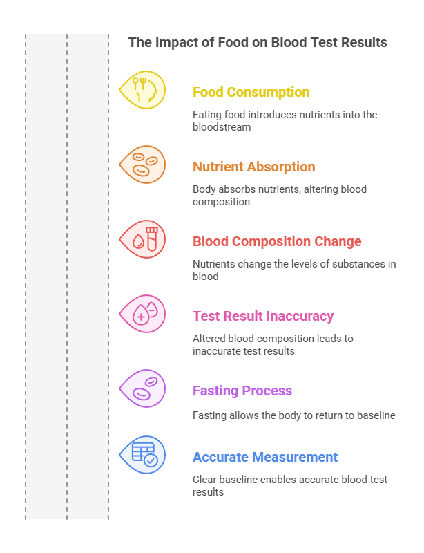 The Impact of Food on Blood Test Results