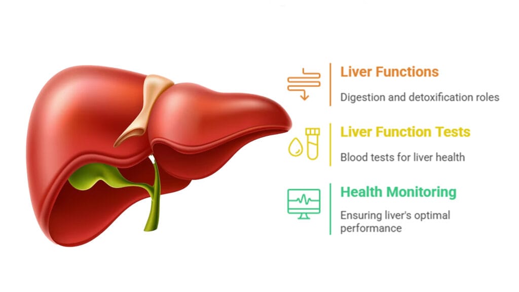 Understanding Liver Function Tests (LFTs) and Abnormal Results
