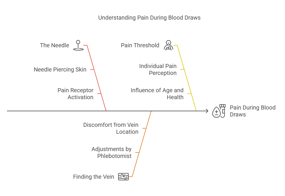 Understanding Pain During Blood Draws