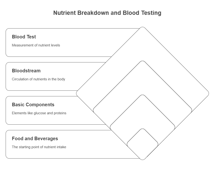 Why Diet Matters Before a Blood Test
