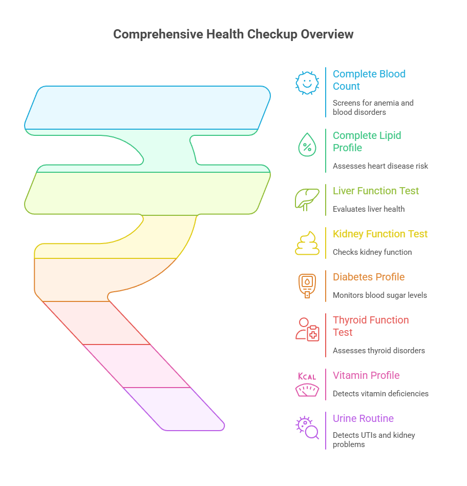 Comprehensive Health Checkup Overview