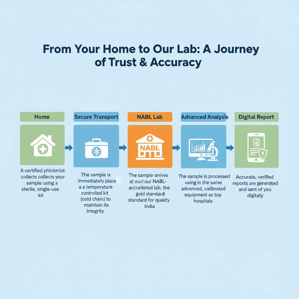 The Journey of Your Blood Sample: A Quality & Safety Flowchart