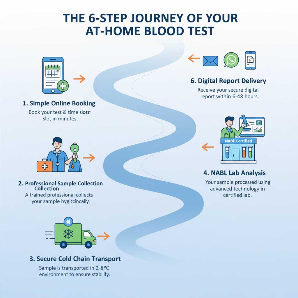 The 6-Step Journey of Your At-Home Blood Test