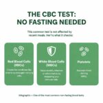 Fasting Not Required: The Complete Blood Count (CBC)