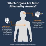 What organs are most affected by low hemoglobin?