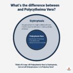 What is the difference between erythrocytosis and polycythemia vera?