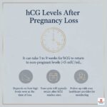 How long does it take for hCG to leave your system after a miscarriage?